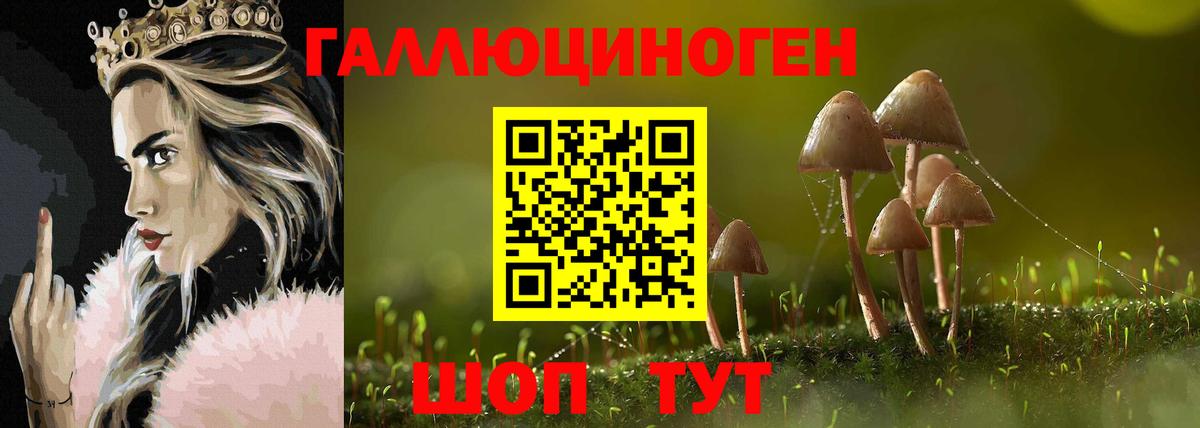 Галлюциногенные грибы прущие грибы Шумерля