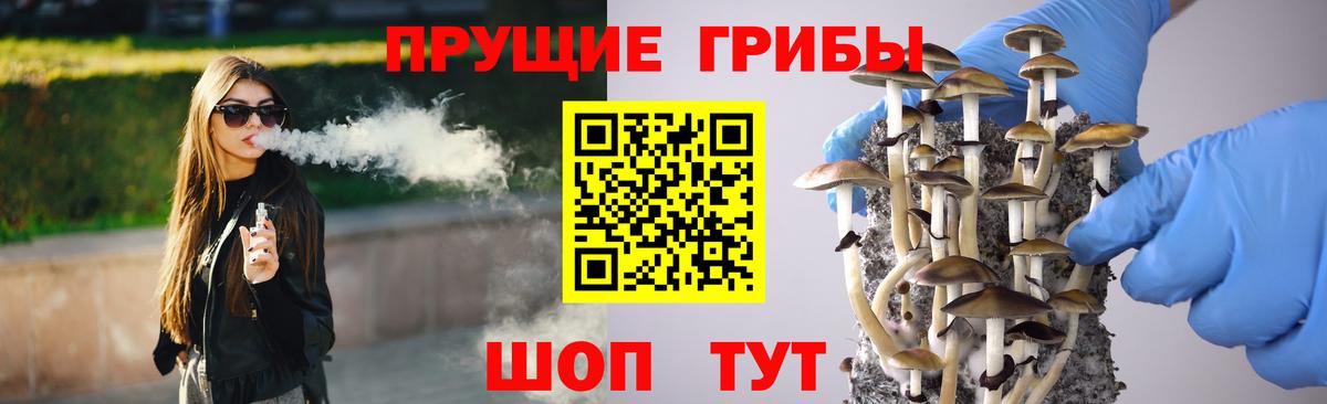 Псилоцибиновые грибы Cubensis  Вход с VPN  Галлюциногенные грибы мицелий  Шумерля 